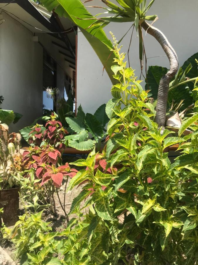 Balili Villas El Nido-Free Car & Driver During Stay Exterior photo